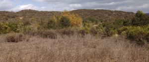 Vista Del Mar Trail - Newbury Park