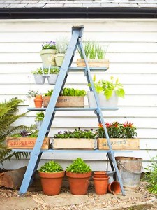 Stepladder Planter