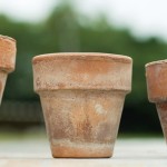 Aging Terra Cotta Pots