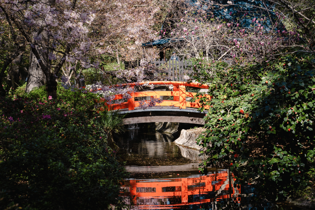 A short drive from Thousand Oaks: Descanso Gardens