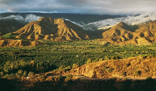 Ojai