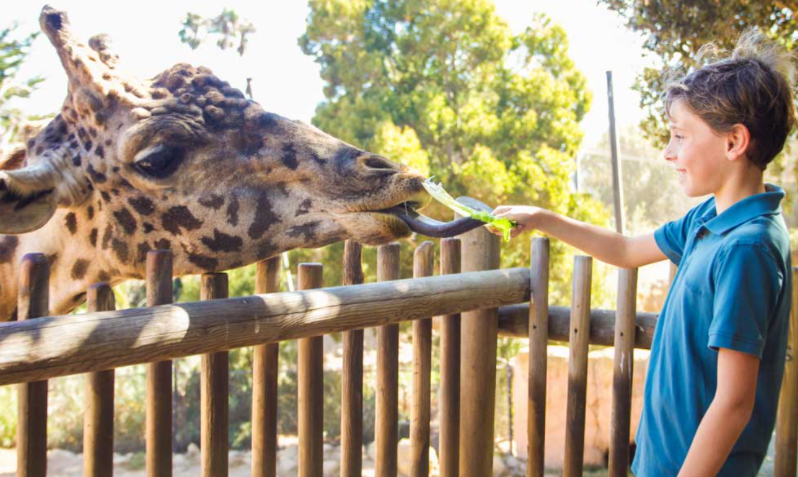 zoos things to do with kids