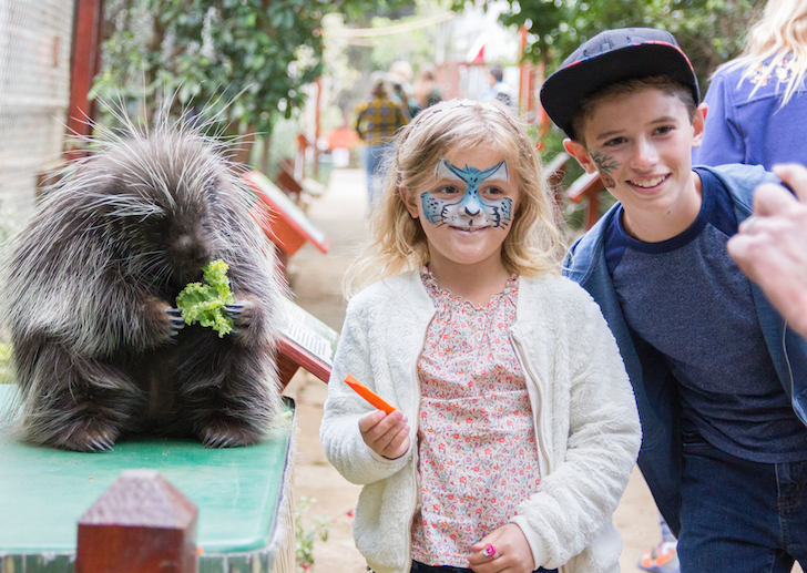 wildlife learning center things to do with kids