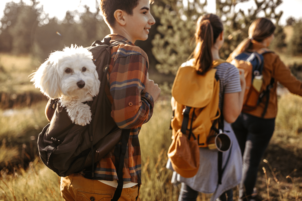 newbury-park-dog-friendly-hikes