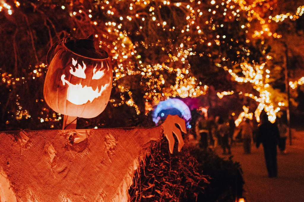 Untitled (320 × 180 px) (1024 × 683 px) (1) Halloween lights on display.
