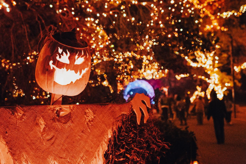 Halloween lights on display.